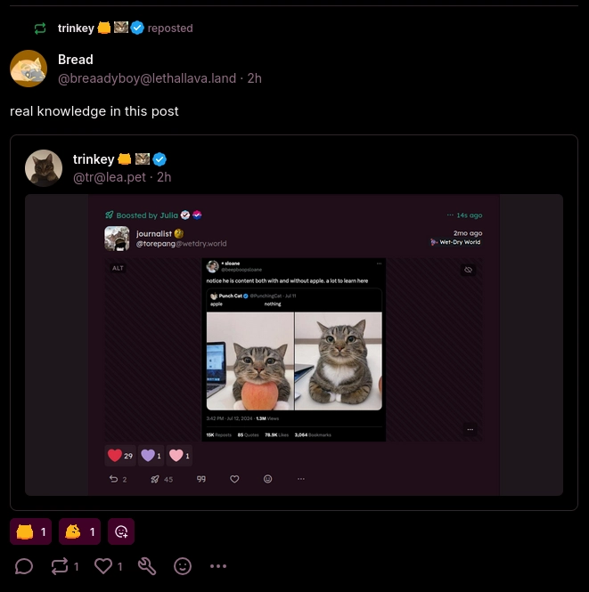 a screenshot of a post boosted by my main of a quote by @breaadyboy@lethallava.land with the content "real knowledge in this post". the quoted post is a post by my main that contains a screenshot of a post by @torepang@wetdry.world boosted by @julia@eepy.moe. the post has an image that is a screenshot of a tweet by @beepboopsloane that says "notice how he is content both with and without apple. a lot to learn here", with an attached quote retweet of a post by @punchingcat that says "apple [gap] nothing" with the words lining up with two images of the same cat, one of which is sitting with their head on an apple, and the other image is the cat sitting with no apple.